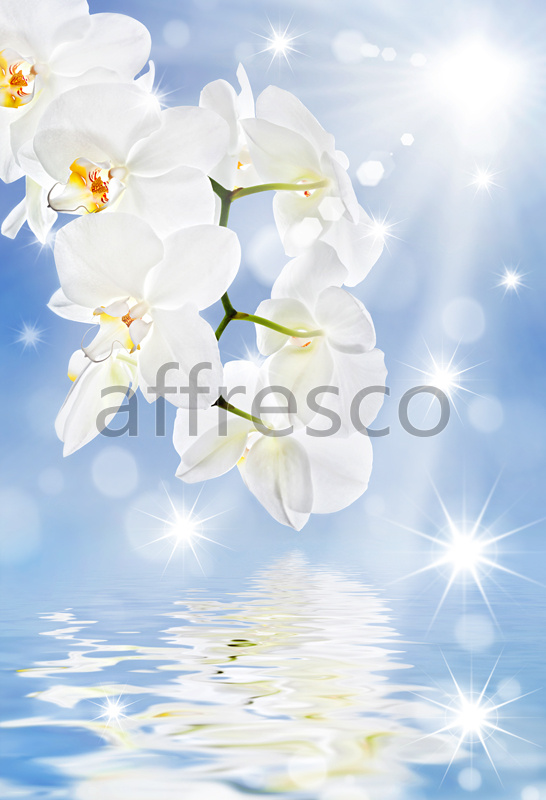 Отражение белой ветки орхидеи