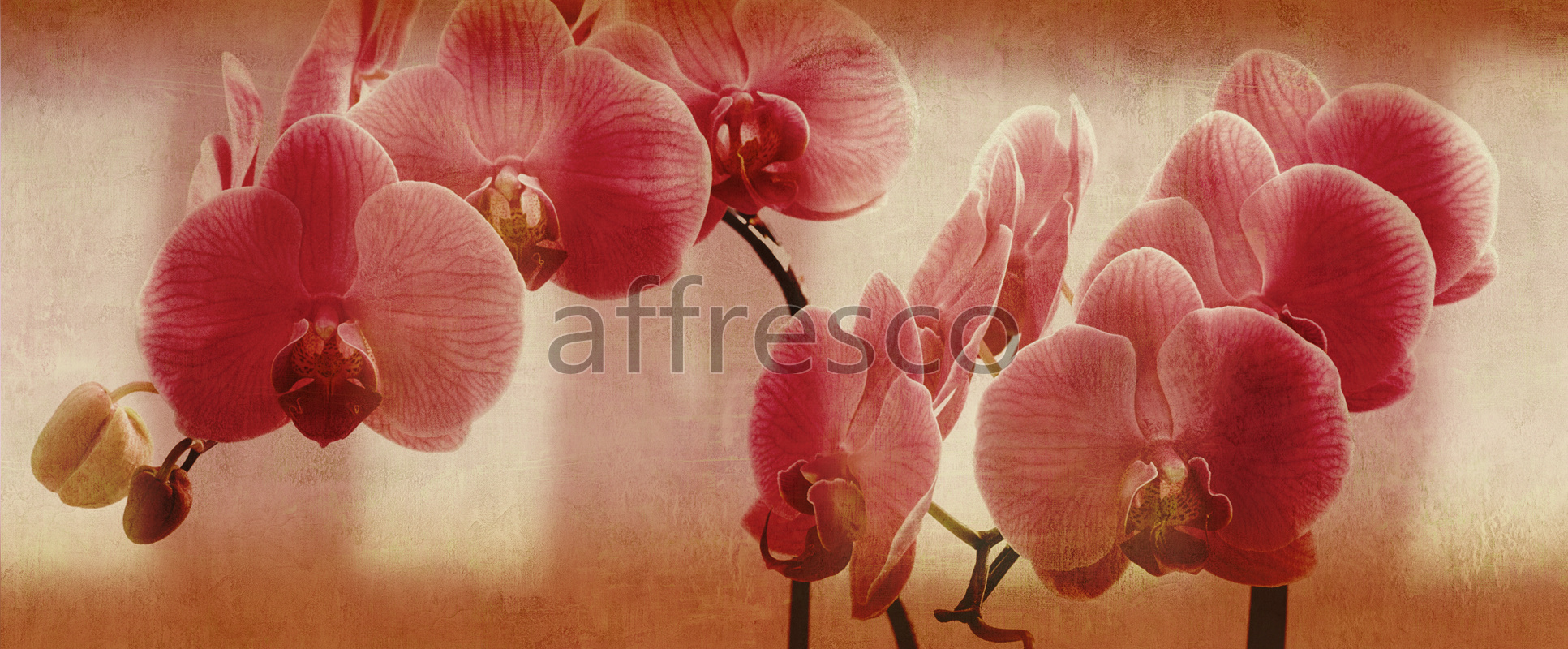 Цветы на ветке орхидеи
