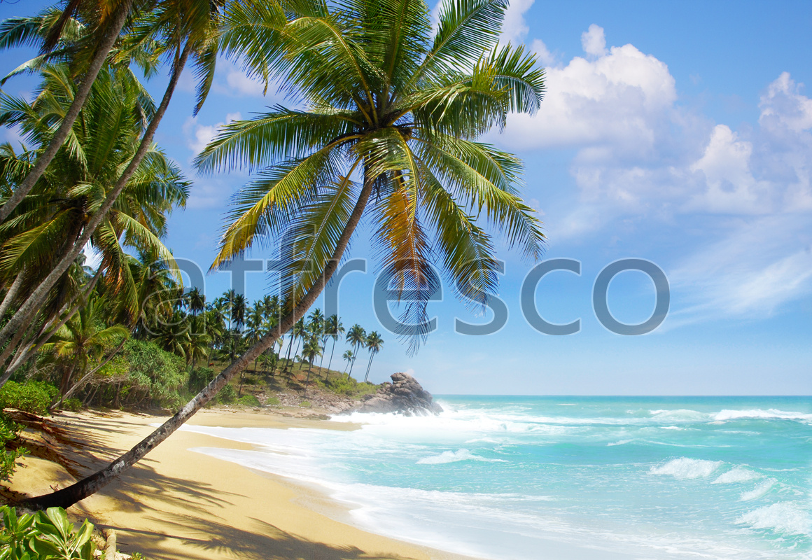 Фрески, Карибский пляж