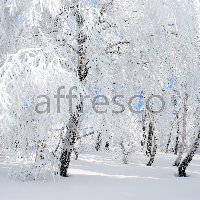 Фрески, Деревья в снегу