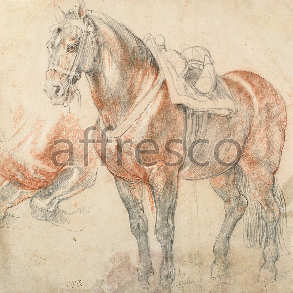 Фрески, Рисунок лошади