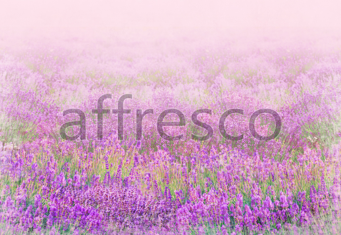 Фрески, Фиолетовые полевые цветы
