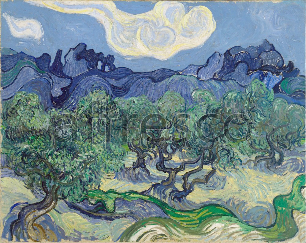 Каталог Аффреско, Импрессионисты и постимпрессионистыВинсент Ван Гог, Оливковые деревья | арт. Vincent van Gogh, The Olive Trees