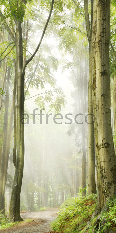Фрески, Тропинка в лесу