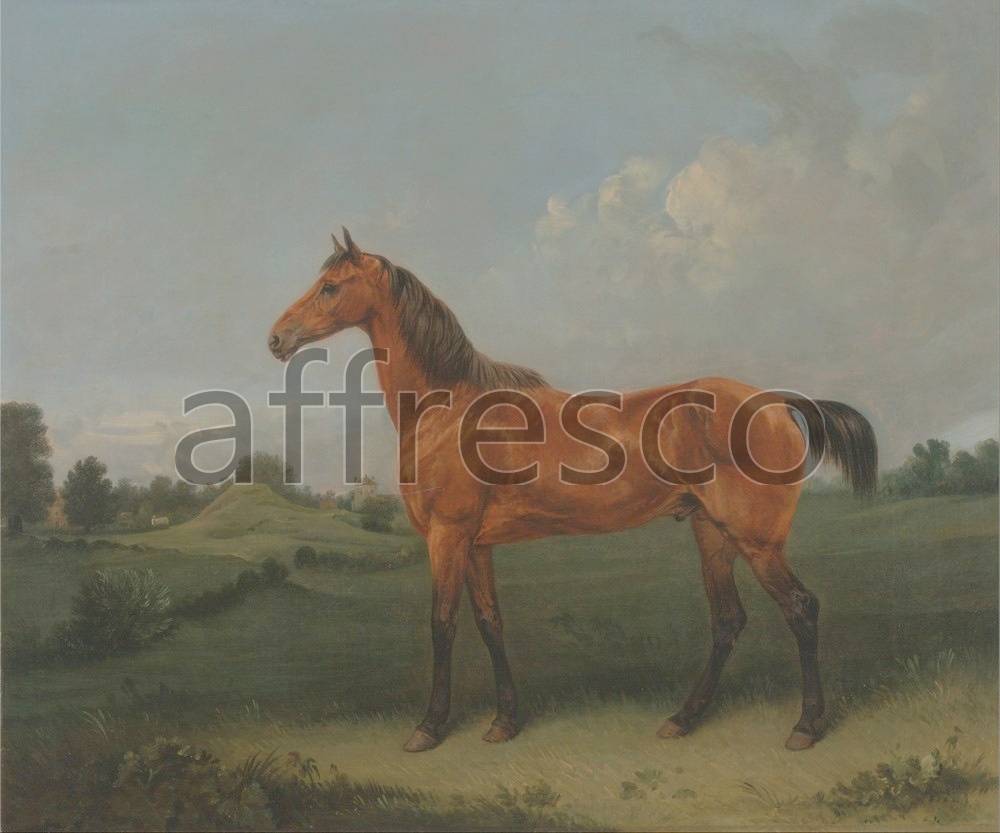 Каталог Аффреско, Картины с животнымиEdmund Bristow, A Bay Horse in a Field | арт. Edmund Bristow, A Bay Horse in a Field