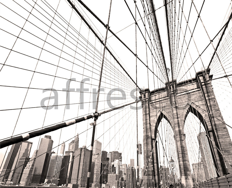 Фрески и фотообои, Мост большого города