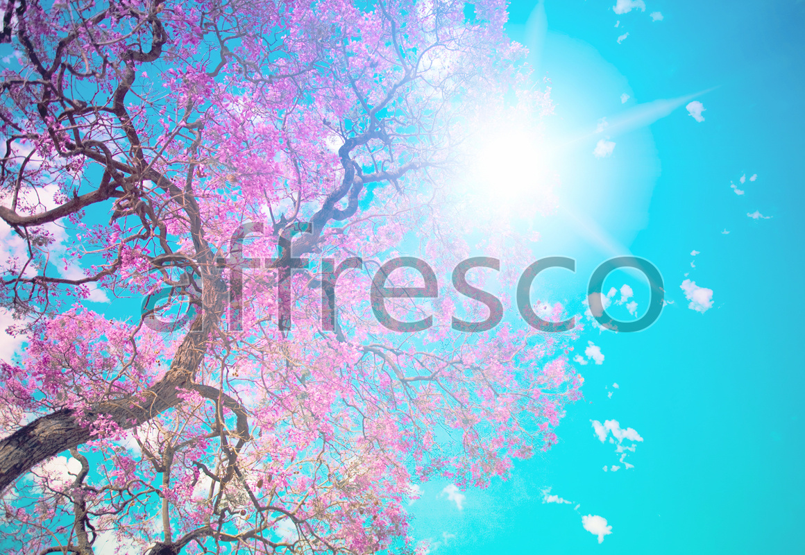 Фрески и фотообои, Солнце цветущее дерево