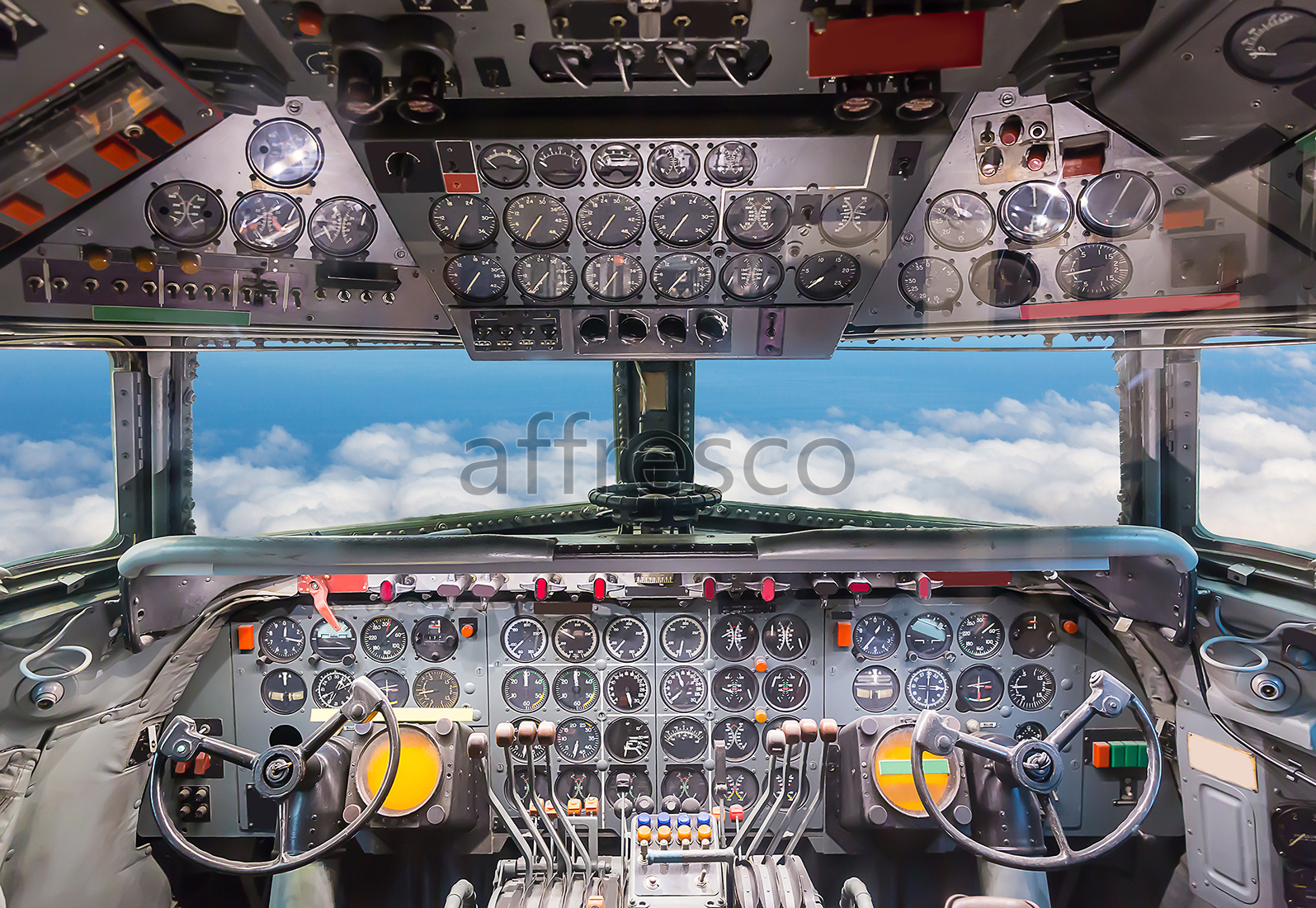 Фрески и фотообои, Современная кабина пилота