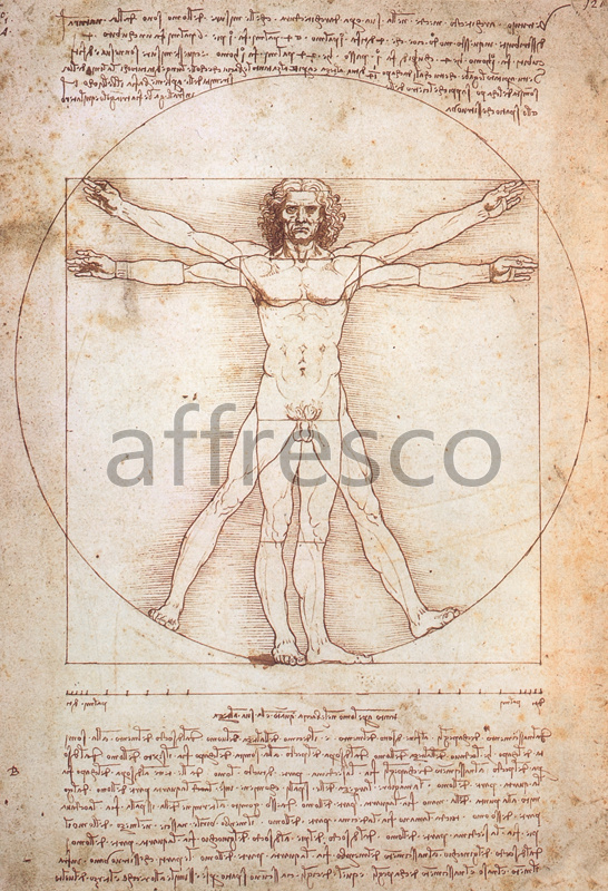 Фрески и фотообои, Витрувианский человек Леонардо да Винчи