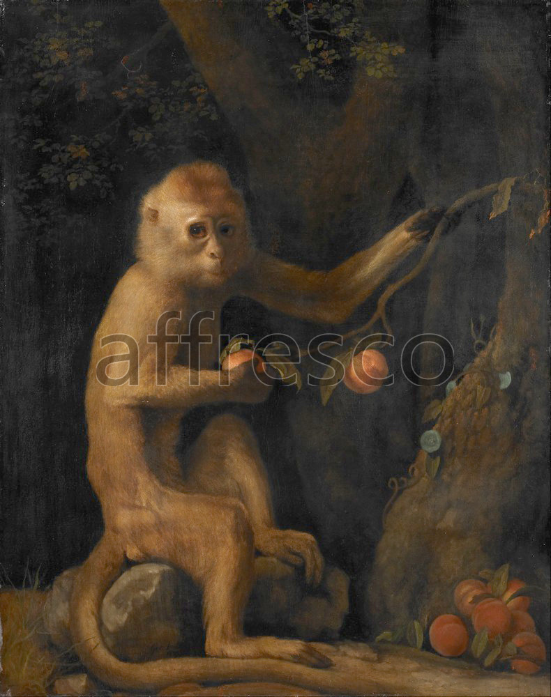 Каталог Аффреско, Картины с животнымиGeorge Stubbs, A Monkey | арт. George Stubbs, A Monkey