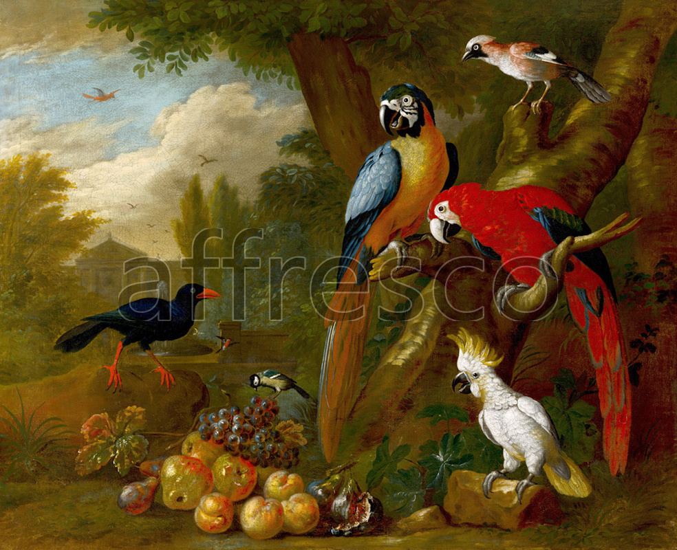 Каталог Аффреско, НатюрмортBogdani Jakob, Two Macaws a Cockatoo and a Jay with Fruit | арт. Bogdani Jakob, Two Macaws a Cockatoo and a Jay with Fruit