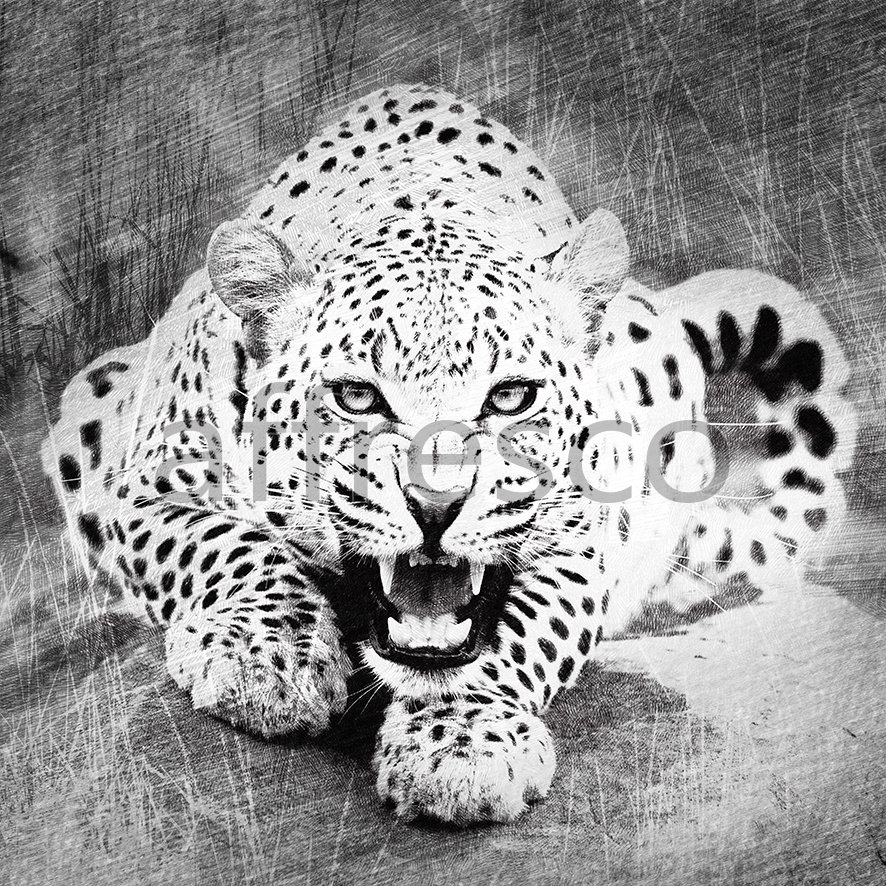 Фрески и фотообои, Рычащий леопард