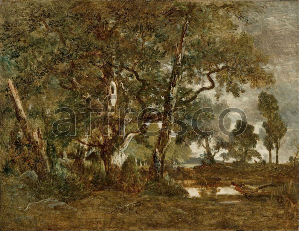Каталог Аффреско, Классические пейзажиТеодор Руссо | арт. Theodore Rousseau, Forest of Fontainebleau Cluster of Tall Trees Overlooking the Plain of Clair