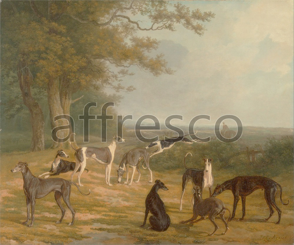 Каталог Аффреско, Сцены охотыJacques Laurent Agasse, Nine Greyhounds in a Landscape | арт. Jacques Laurent Agasse, Nine Greyhounds in a Landscape