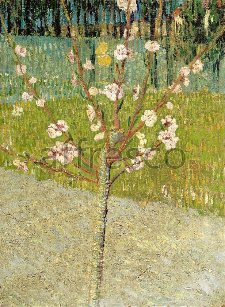 Каталог Аффреско, Импрессионисты и постимпрессионистыВинсент Ван Гог, Цветущие ветки миндаля | арт. Vincent van Gogh, Almond tree in blossom