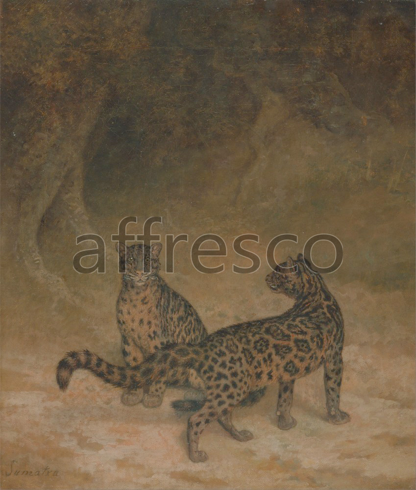 Каталог Аффреско, Картины с животнымиJacques Laurent Agasse, Clouded Leopards | арт. Jacques Laurent Agasse, Clouded Leopards
