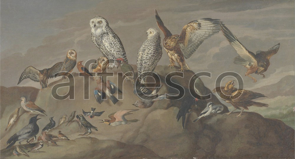 Каталог Аффреско, Картины с животнымиStudy of Birds | арт. Study of Birds