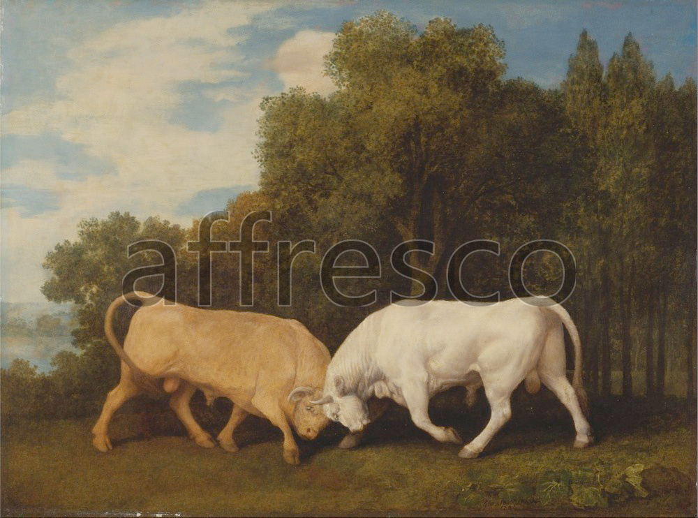 Каталог Аффреско, Картины с животнымиGeorge Stubbs, Bulls Fighting | арт. George Stubbs, Bulls Fighting