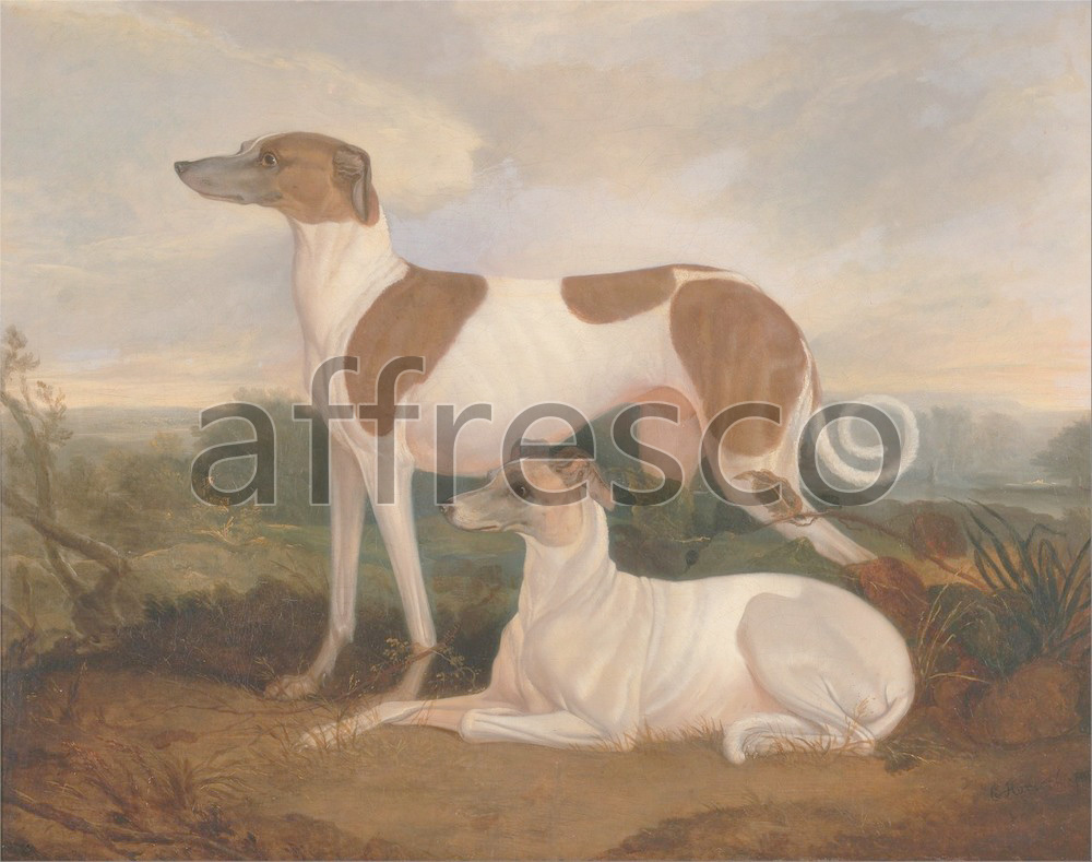Каталог Аффреско, Картины с животнымиCharles Hancock, Two Greyhounds in a Landscape | арт. Charles Hancock, Two Greyhounds in a Landscape