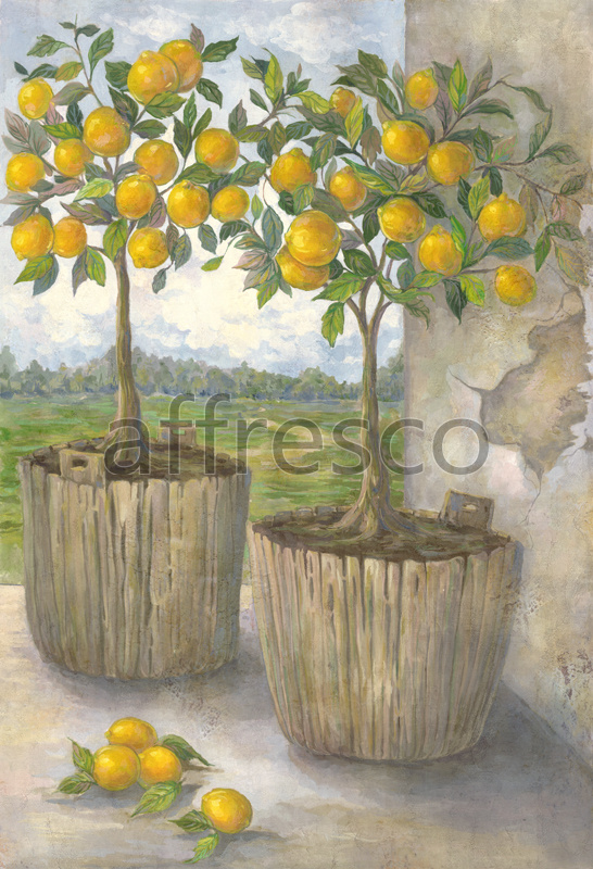Заказать как фреску или фотообои, Лимонные деревья на окне