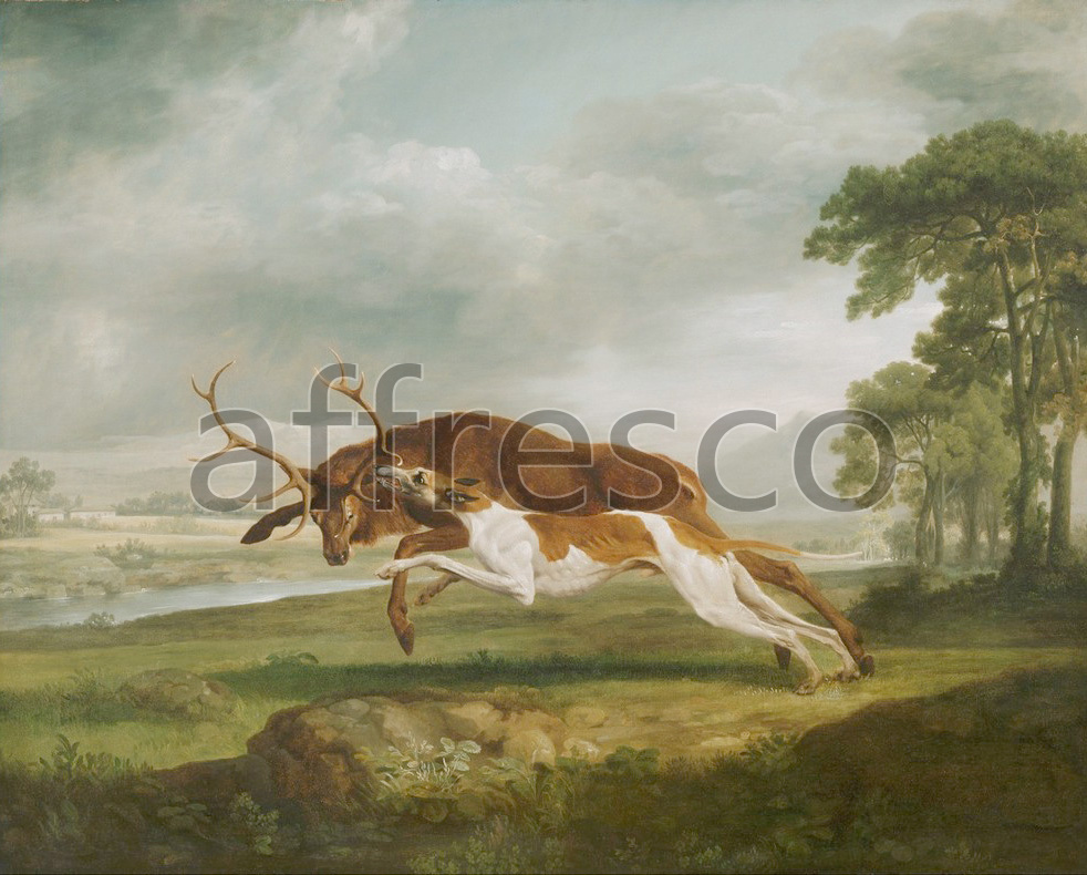 Каталог Аффреско, Картины с животнымиGeorge Stubbs,  Hound Coursing a Stag | арт. George Stubbs,  Hound Coursing a Stag