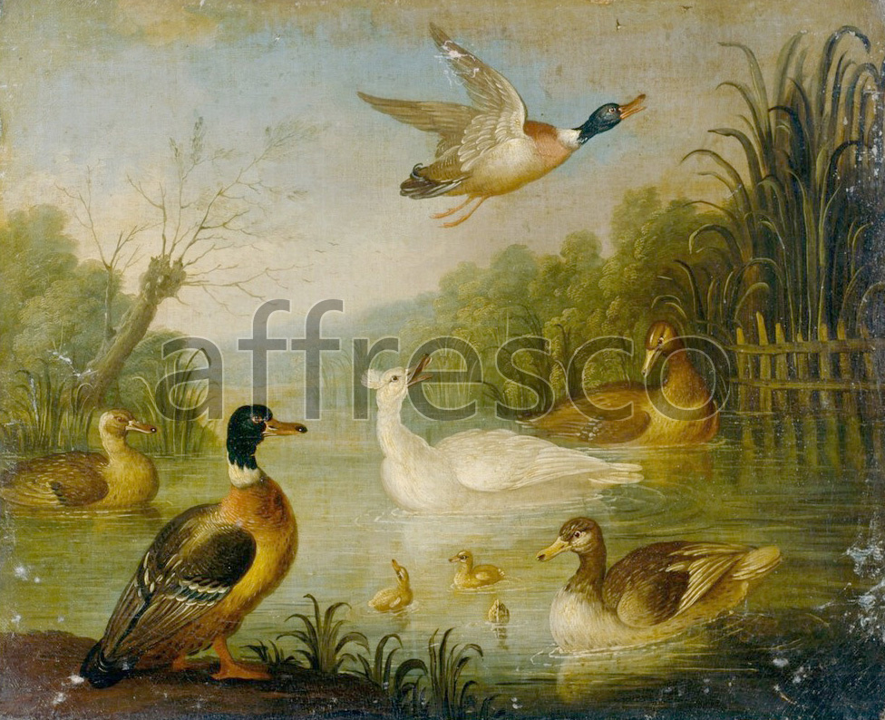 Каталог Аффреско, Картины с животнымиCradock, Marmaduke Mallards on a Pond | арт. Cradock, Marmaduke Mallards on a Pond