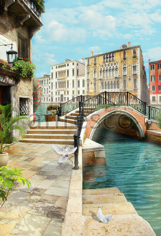 Фрески и фотообои, Голуби в Венеции