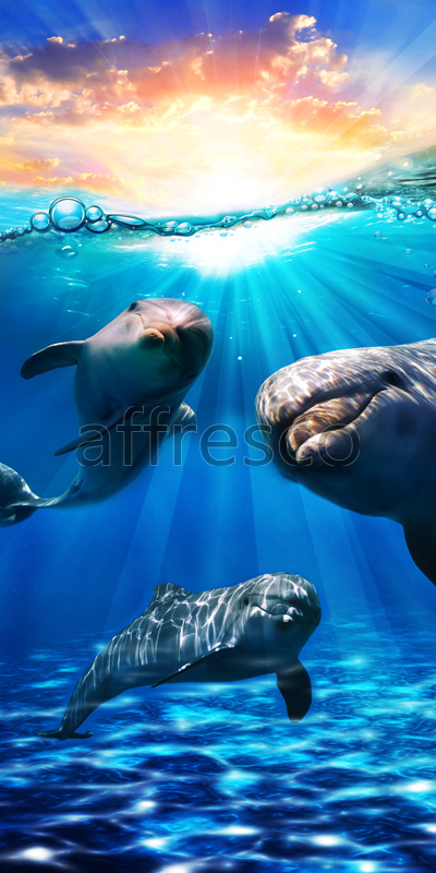 Фрески и фотообои, Солнечные дельфины